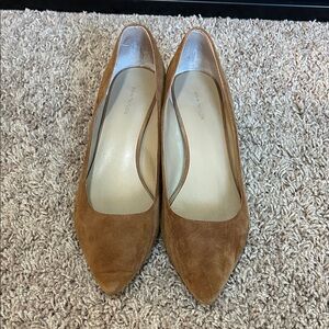 Ann Taylor Chestnut Suede Pointed-Toe Pumps